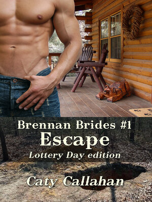 cover image of Brennan Brides 1